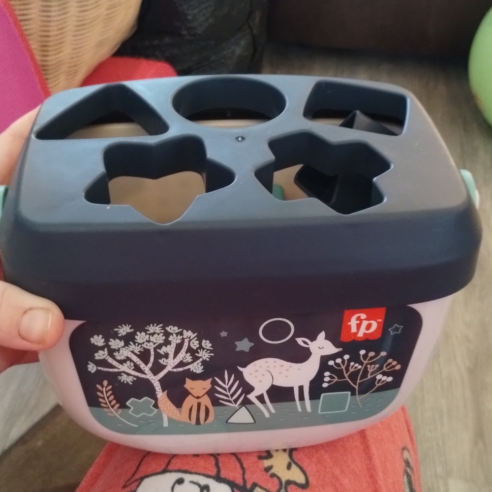 Fisher-Price Animal Shape Sorter with Blue Lid